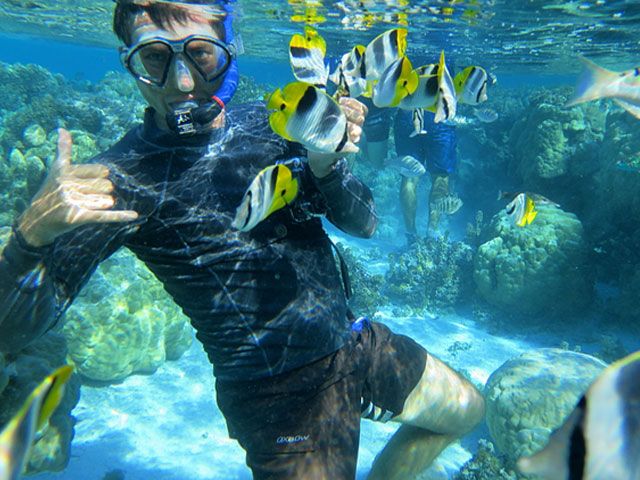 Snorkeling Motus